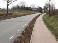 Duivenstraat von Sint Geertruid