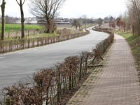 Duivenstraat von Sint Geertruid