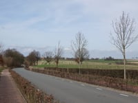 Duivenstraat von Sint Geertruid