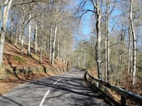 Dunkeld Road von Dunkeld