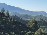 Route d'Albas z Durban Corbières