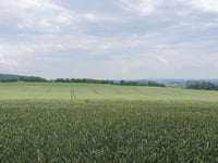 Dürsberg desde Sonsbeck
