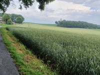 Dürsberg desde Sonsbeck