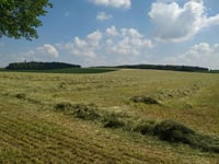 Dürsberg desde Sonsbeck