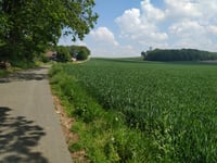 Dürsberg desde Sonsbeck