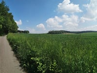 Dürsberg desde Sonsbeck