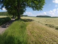 Dürsberg desde Sonsbeck