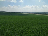 Dürsberg desde Sonsbeck