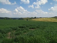 Dürsberg über Sporenstrasse
