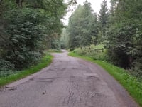 Dworki da Włodowice