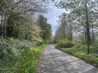 Eastmanton Lane von Sparsholt