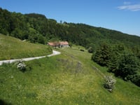 Ebenwald von Kleinzell