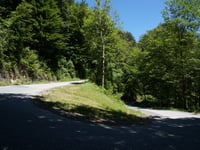 Ebenwald von Kleinzell