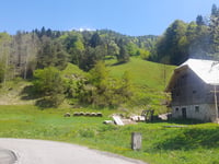 Ebenwald von Stadelbach