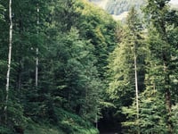 Ebnit da Dornbirn