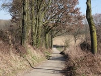 Eckelrade przez Eijkerstraat