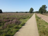 Edese Bos da Driesprong
