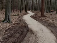 Edese Bos from Ede