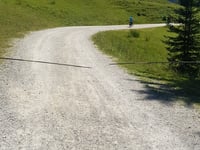 Ehrwalder Alm von Ehrwald