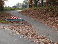 Eigenbilzen über Vossenkuilstraat