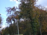 Eijkhagenlaan über Schwartzemiggerweg