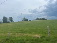 Eikamp da Scherf