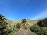 El Cercado da San Andrés