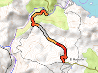 El Madroño da Rivera del Jarrama