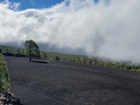 El Teide da Los Gigantes