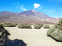 El Teide