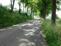 Elkenraderweg from Wijlre