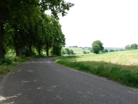 Elkenraderweg from Wijlre