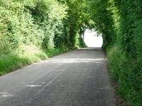 Elkenraderweg from Wijlre