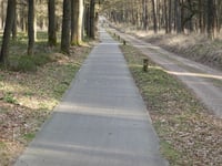 Elsberg z Imbosch
