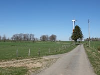 Elsenborn von Arenbüschel