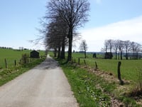 Elsenborn von Arenbüschel