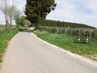 Elsenborn über In der Rostert