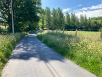Elsstraat
