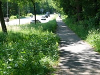Elsterberg from Veenendaal