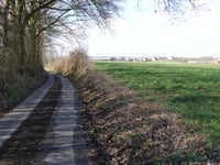 Elsterweg