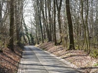 Eltenberg via Kuckucksdahl
