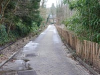 Elzenweg über Nieuwe Holleweg