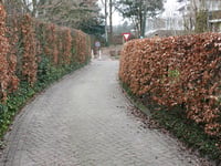 Elzenweg über Nieuwe Holleweg