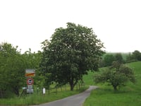 Emmeroth depuis Fronhoven par Bergbitzerhof