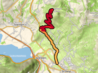 Engelstock vanuit Schwyz