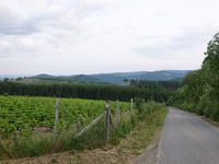Ennest from Westfeld via In der Walmecke