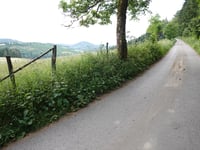 Ennest from Westfeld via In der Walmecke