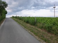 Ennest from Westfeld via In der Walmecke
