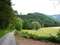 Ennest from Westfeld via In der Walmecke