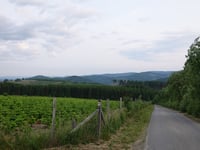 Ennest von Westfeld über Schützenstrasse